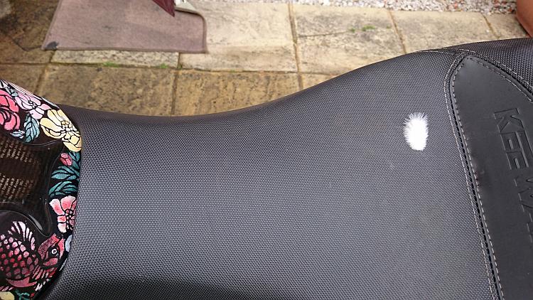 A small white feather about 2cm long on the motorcycle seat