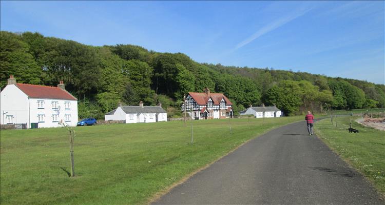 4 pretty houses, a large green a quiet lane and a chap walking away with his dog