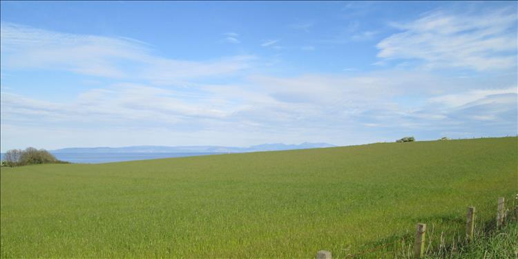 Looking out over the sea to Arron on a bright morning with blue skies