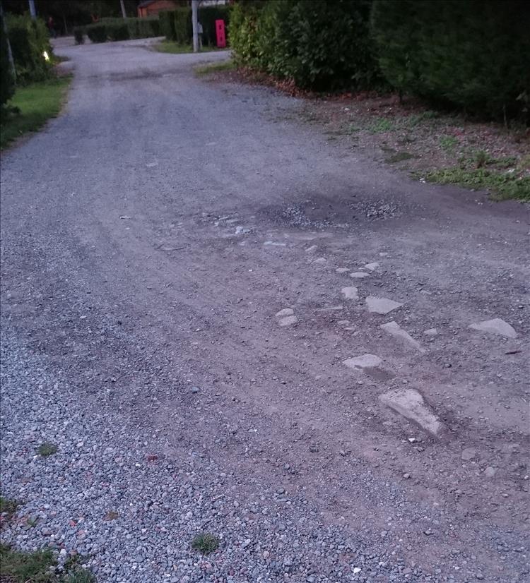 A gravel track running between hedges in Northern France