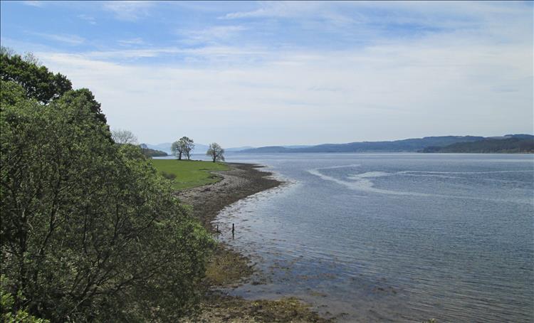 Trees, a small flat rocky shoreline, calm waters, blue skies, distant mountains on the B8000