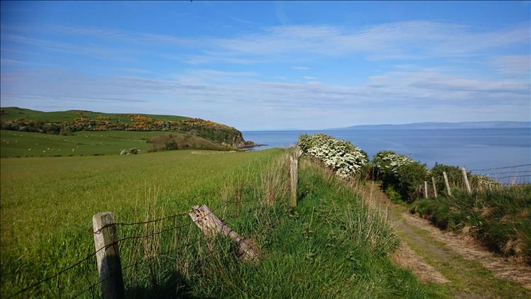 Rolling hills to the sea with plenty of yellow broom or gorse