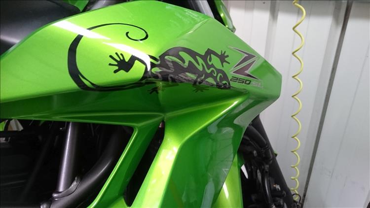 The side panel of the Kwakker is badly scratched but Sharon has put on a lizard sticker