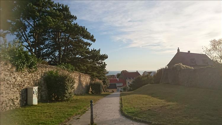 Trees and a path leading down to french houses in the small seaside town