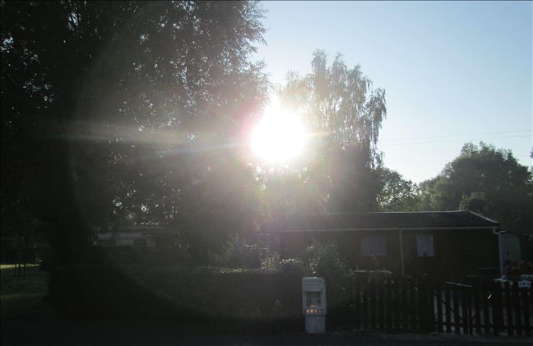 Sun twinkling through the trees at the campsite in Arleux France