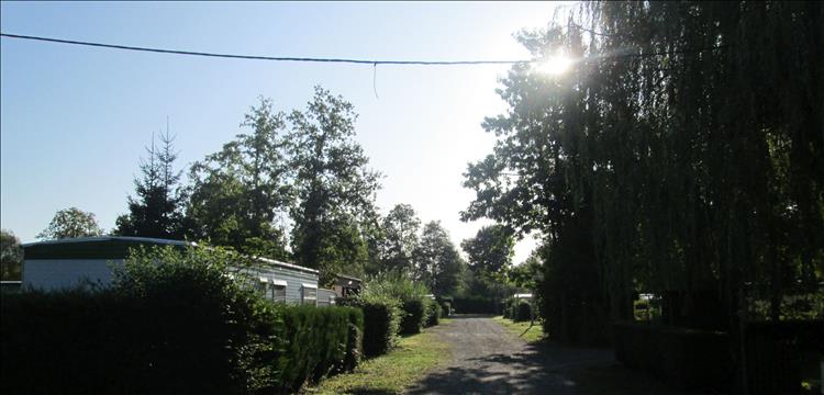 Sun glistens through the trees at the campsite this morning