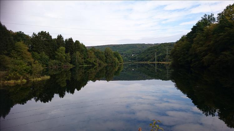 Flat waters mirror the trees and landscape of the small reservoir at Hasenfeld