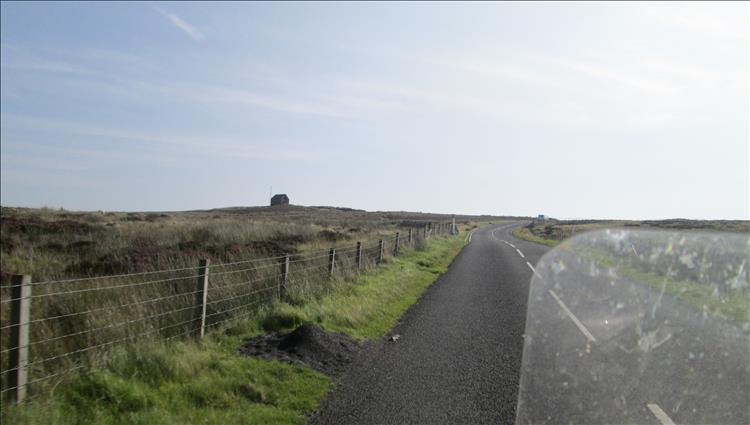 Hardy grasses and a lonesome halter atop the moors north of crocketford