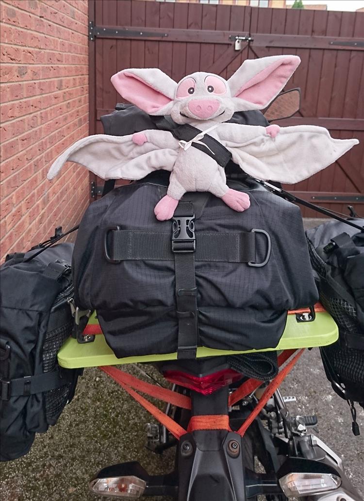 The stuffed toy Batty is a white bat and affixed to the back of the luggage on Sharon's Z250SL