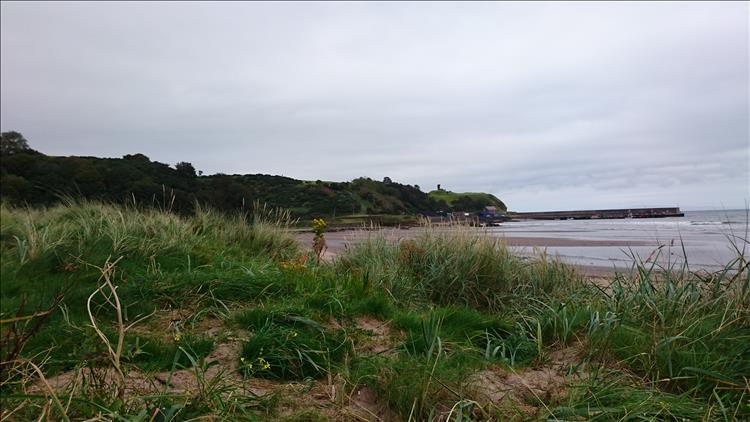 Outcrops of land, grassy dunes and the presently calm waters of Waterfoot beach