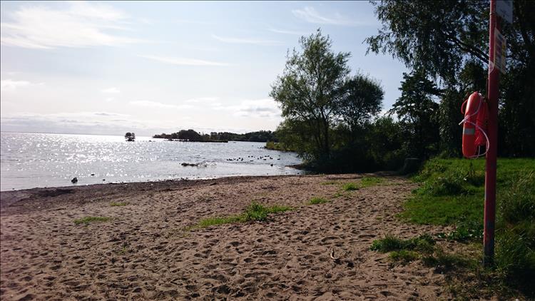 Calm waters, blue skies, sandy shoreline and trees at the side of Lough Neagh