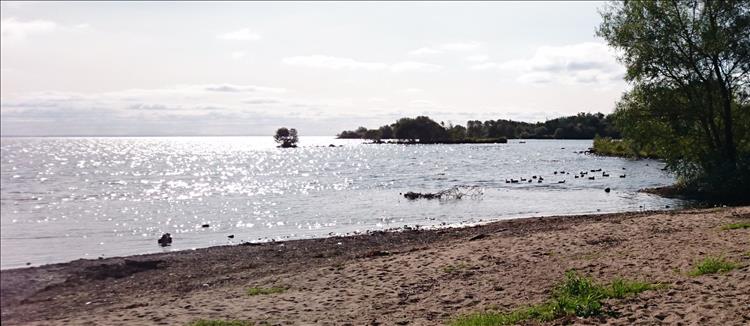 Looking out over the shimmering waters of the lake we can barely make out the far shore