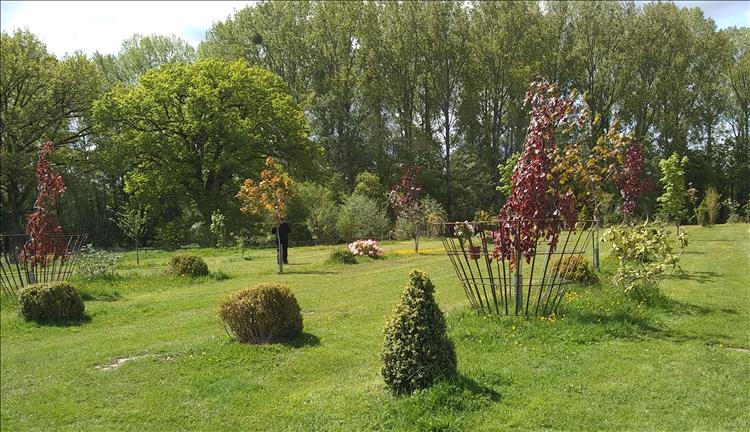 Neat rows of smart trees and cut grass