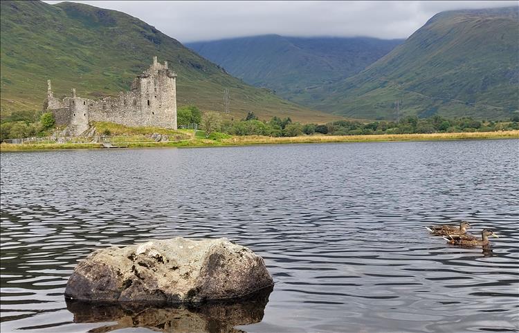 2 ducks paddle by a rock close by, the ruins of the castle and majestic landscape behind