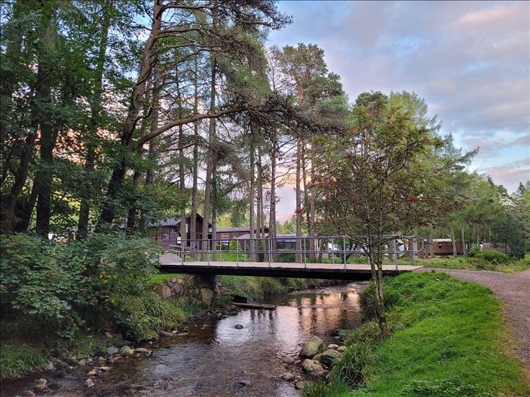 Tall trees, a foot bridge over a brook and the amazing Scottish views behind the campsite