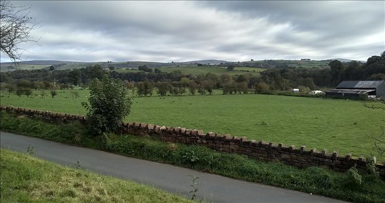 Fat rolling hills, trees and fields, a country lane and stone walls at Armathwaite