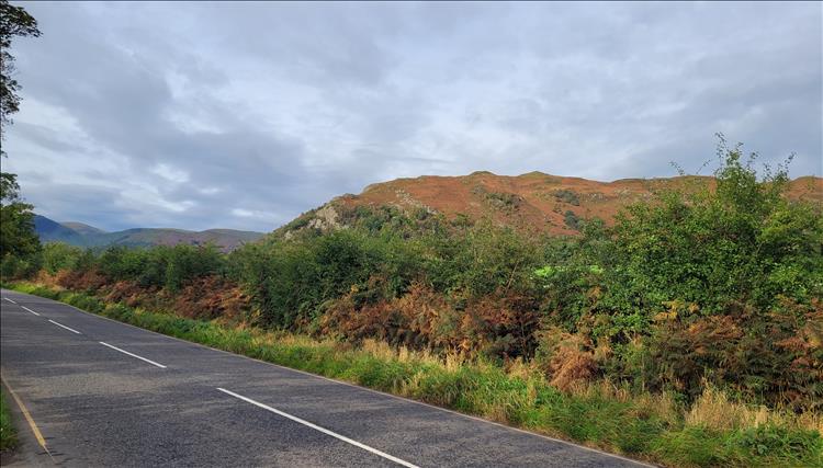 The road, mountains in the distance, shrubs and greener and beauty in The Lakes
