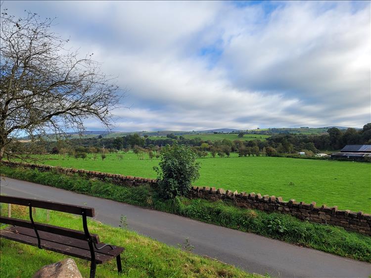 A tree without leaves, a bench and lush green undulating countryside into the distance