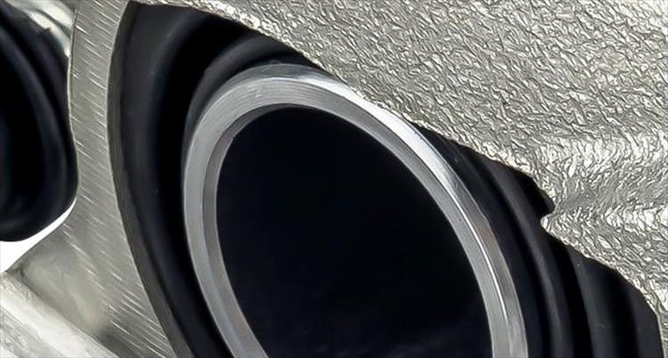 The boot that protects the brake piston on car brake systems