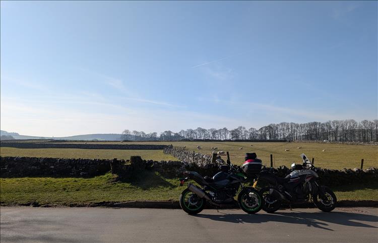 Sun fills the big sky, although the fields are lacklustre and the trees have no leaves