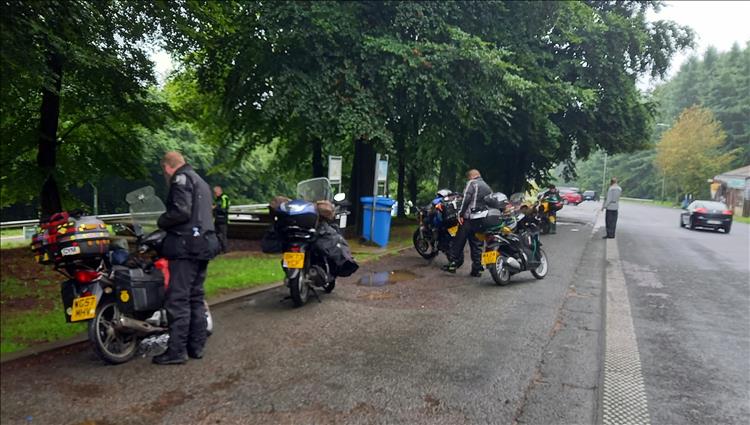 Bogger and his friends beside the road en route to the campsite