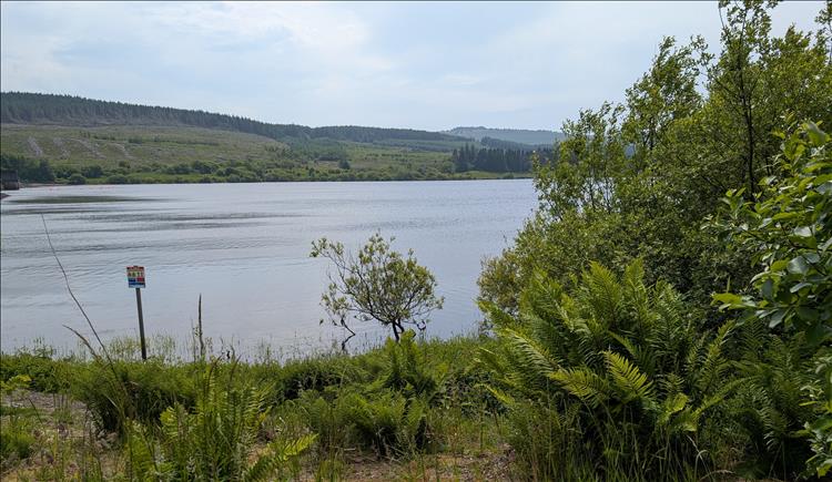 A broad reservoir, hills, trees, and even bright skies