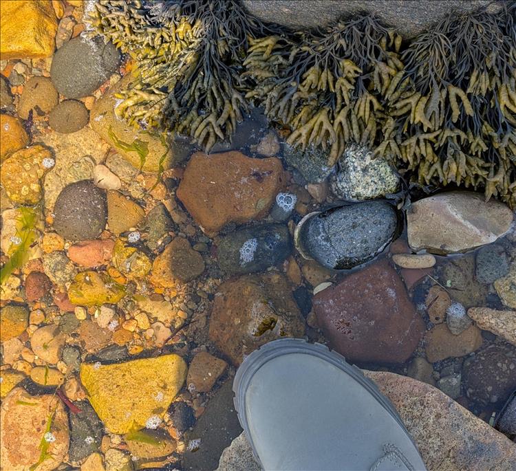 Sharon's boot by some rocks, we realise the rocks are under the clear water