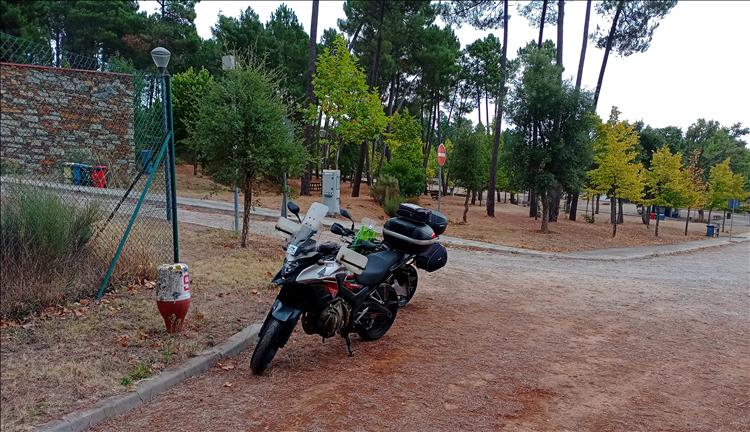 The 2 motorcycles with trees and hard dry ground, no other tents or campers at all