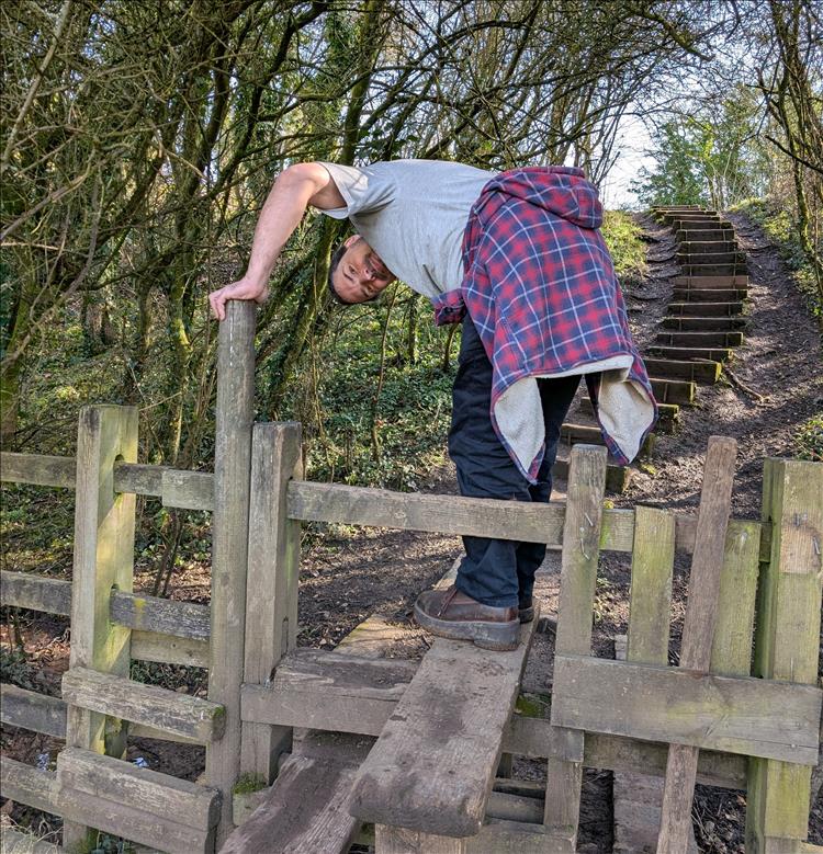 Ren climbing over a style amid trees and countryside
