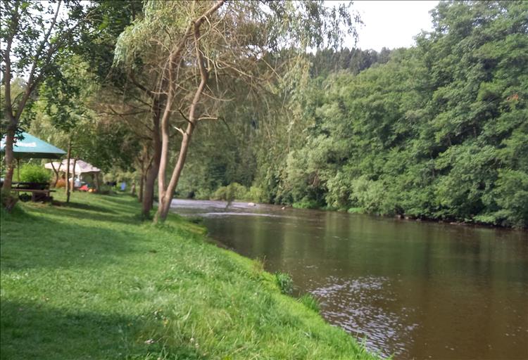 Trees line the river flowing beside the campsite