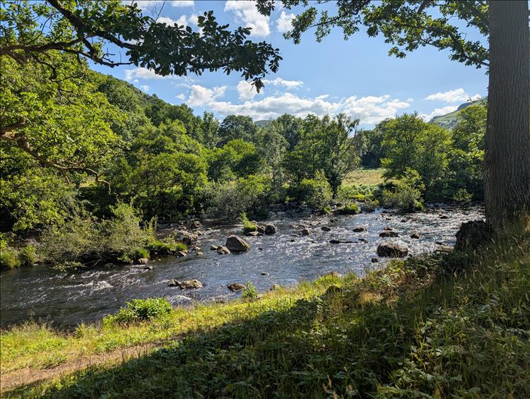 Dense trees and the river, not deep but babbling noisily through the trees and fields