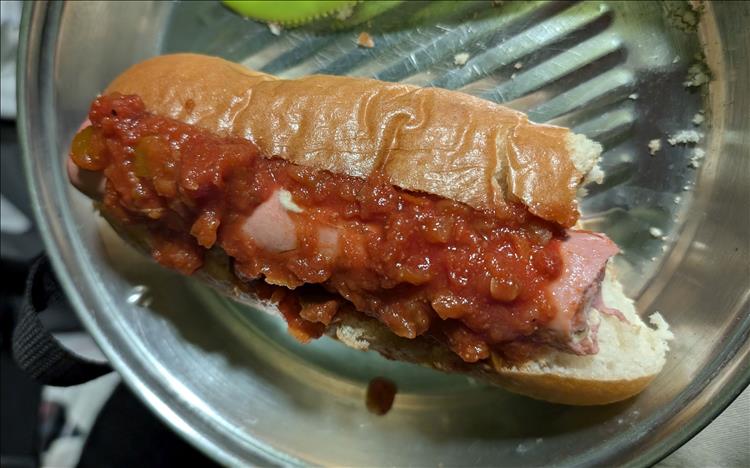 A regular hot dog on a hot dog bun with salsa