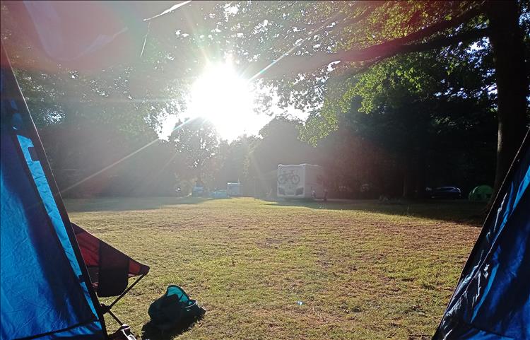 The sun shines bright through a gap in the trees and into the tent at the end of the day