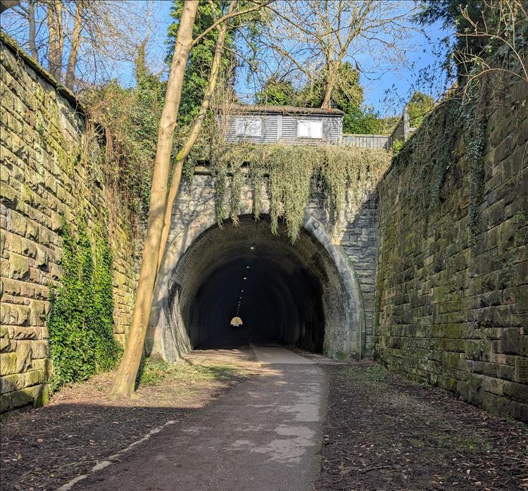 Under trees and between walls the large long tunnel at the start of the trail