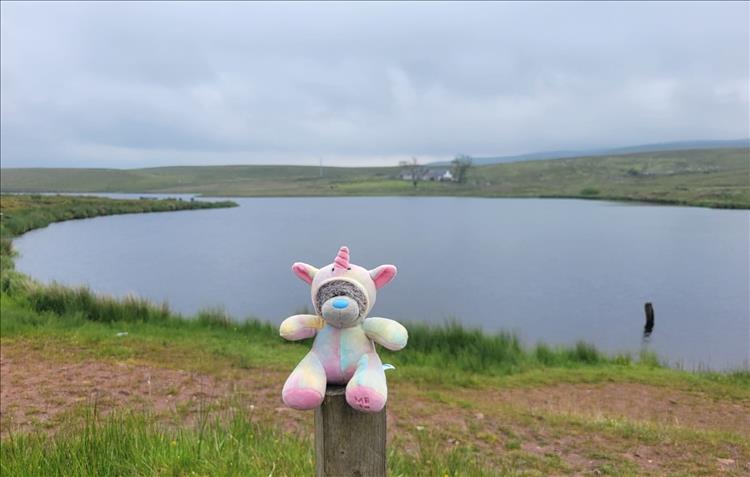 The stuffed unicorn atop a wood post by the waters of a reservoir