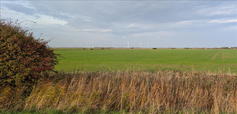 Massive fields stretching away to wind turbines in the distance, big skies and lots of space