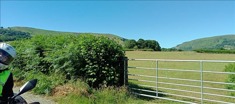 Thick hedges, hills and trees and fields, and Sharon in her helmet appearing in the corner of the photo