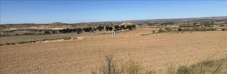 Broad wide fields, dry and arid, distant low bumps in the landscape, bright clear skies
