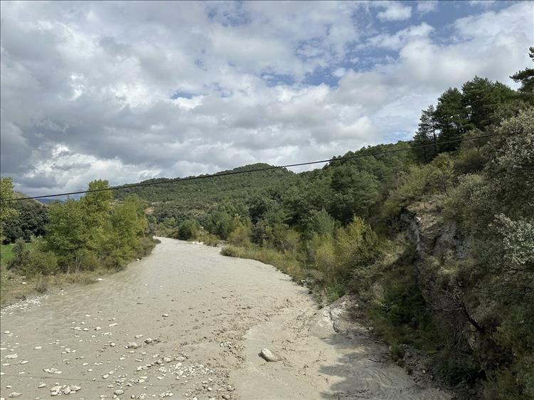 THe same shot at above but the water is a little deeper and brown grey with mud