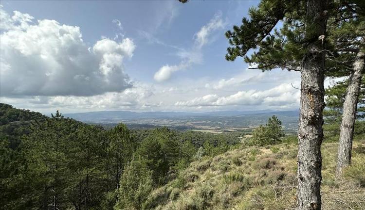 Fluffy clouds, huge view across from a mountain into the distance, lots of countryside
