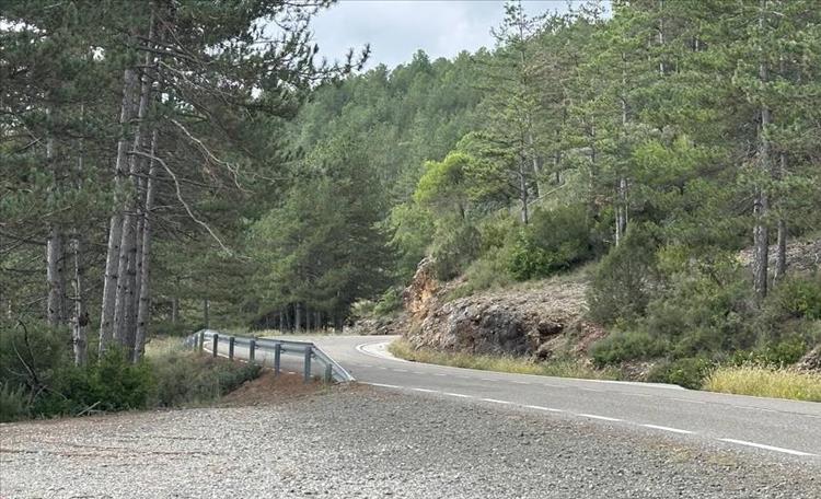A road winding its way through trees on hillside, no trafffic