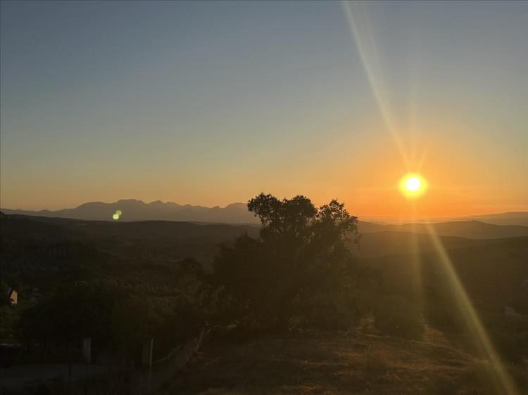 A low sun, fading light and the outline of a tree and mountains