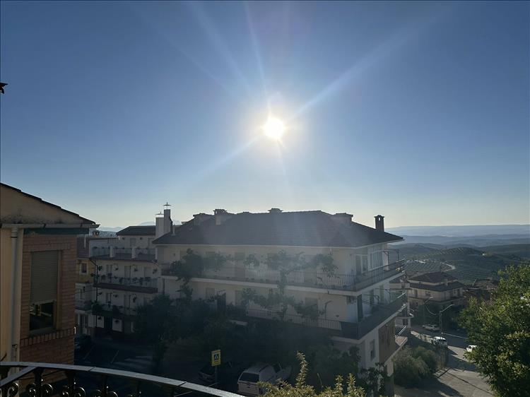 Bright clear sun over 5 storey buildings and beyond the olive groves and mountains