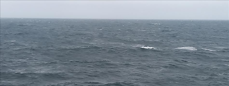 Just the sea looking choppy, filled with waves and mist