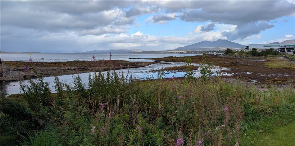 Spikey plants and thistles, a river and a loch and mountains, we can just see the edge of a petrol station to the left
