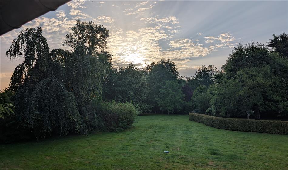 Trees outlined against very light whispy clouds and blue skies as the sun rises in Normandy