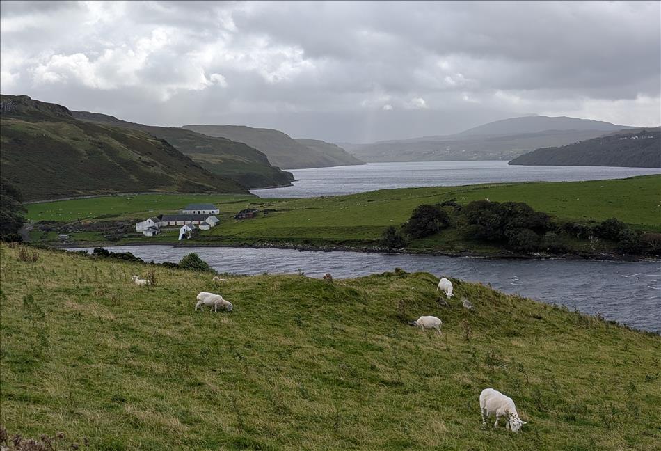 Sheep graze on hard grass, lochs and river between stout steep hills under heavy skies