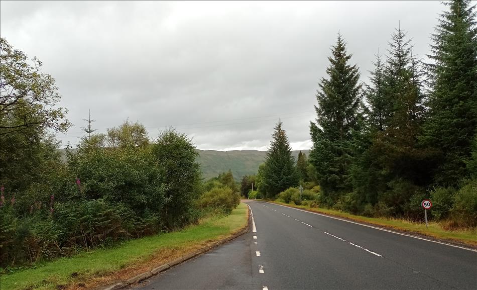 A road winds between tall pines and ever growing hills in the distance
