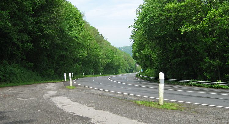 An empty road on a corner surrounded by trees and sunshine