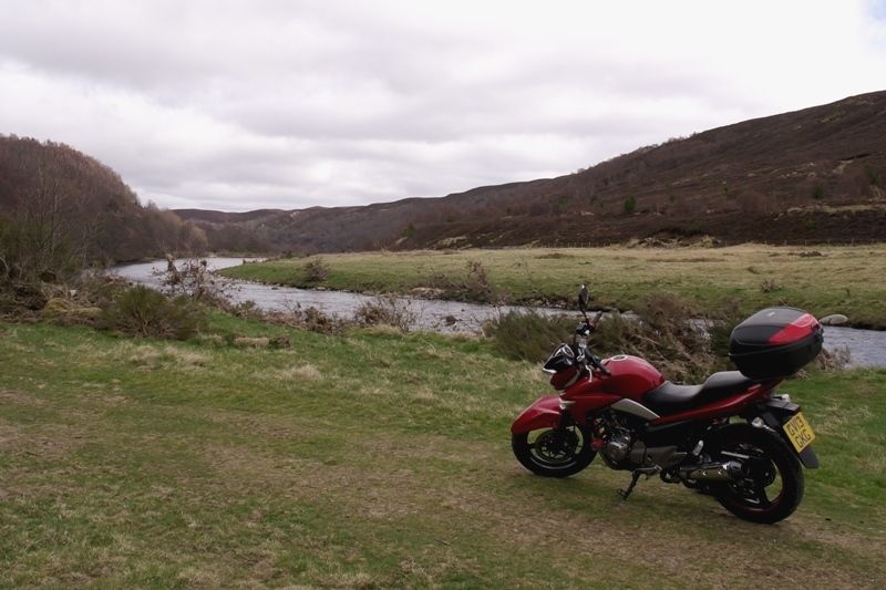 Another image of the suzuki on Rory's first ride